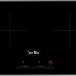 Bếp từ SV- T22 nhập khẩu Thái Lan tiêu chuẩn EcoGreen